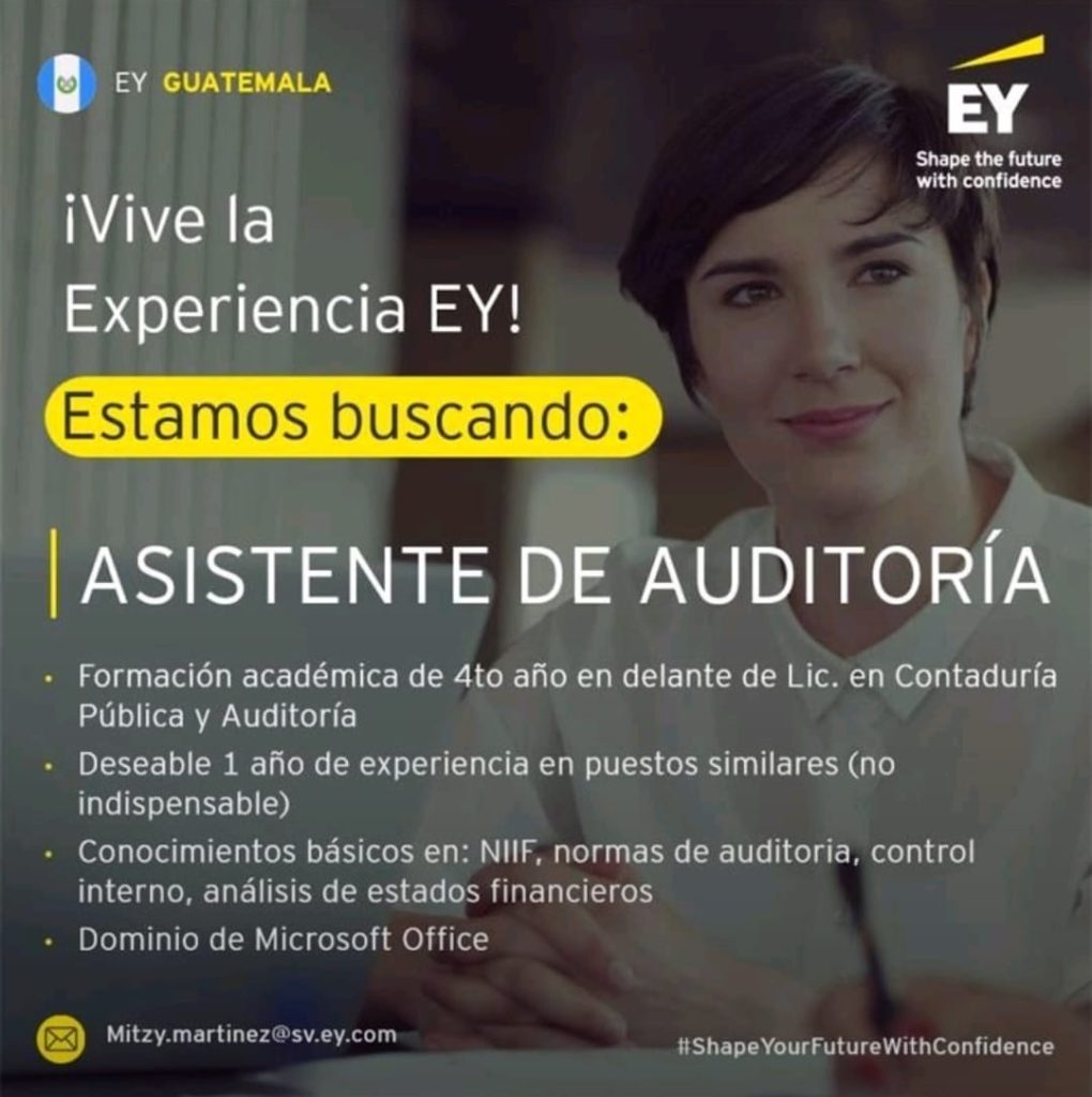 Asistente de Auditoría